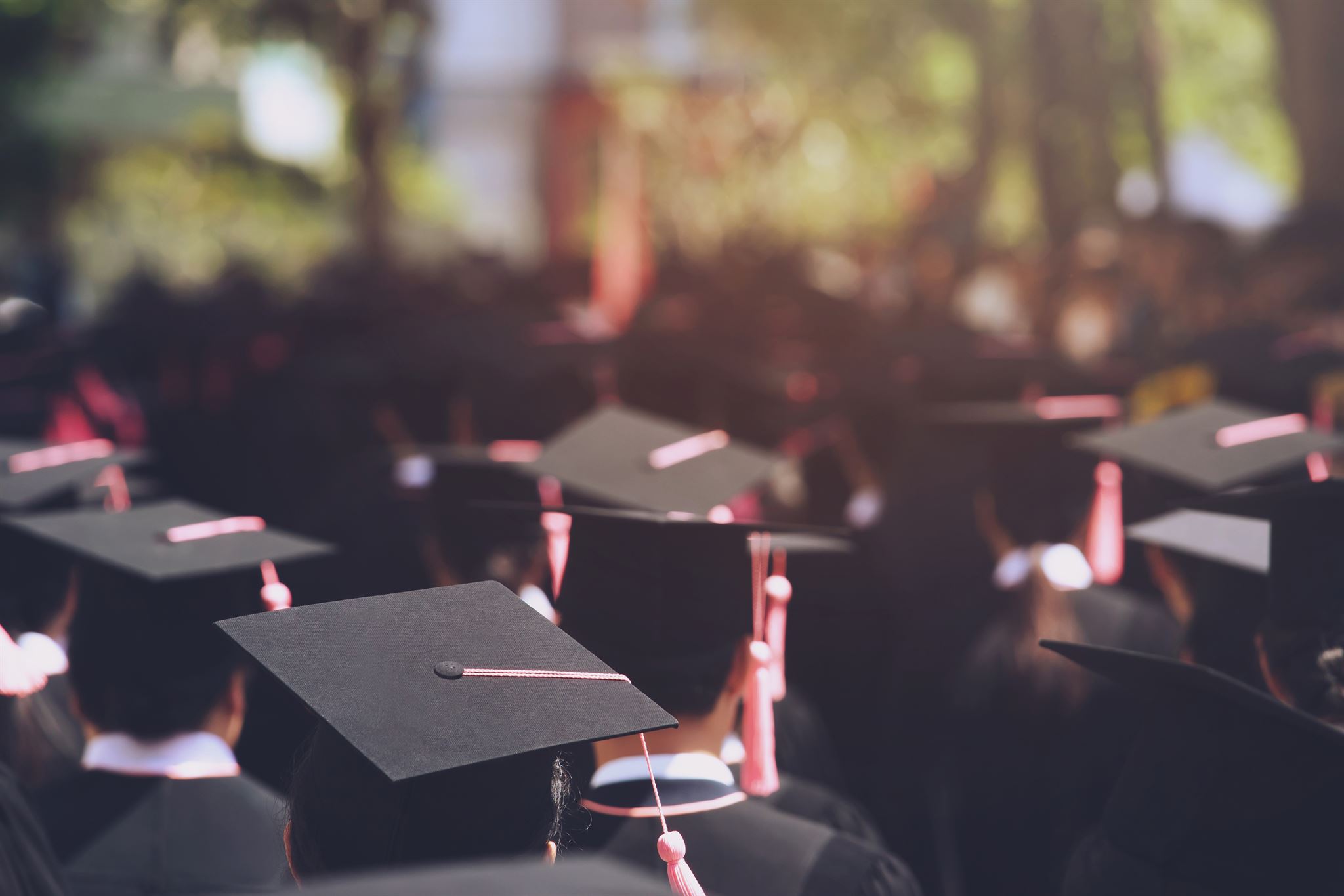 Toma-trasera-de-una-fila-de-graduados